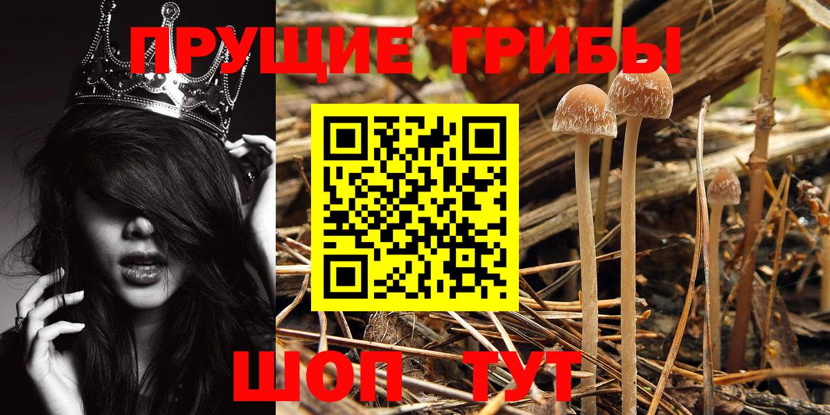 Псилоцибиновые грибы Psilocybe  купить   Дзержинск  Галлюциногенные грибы Psilocybine cubensis  Вход с VPN 