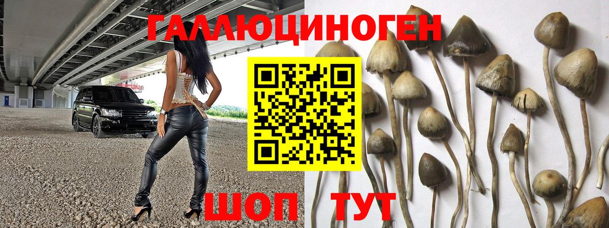 Галлюциногенные грибы мицелий Дзержинск